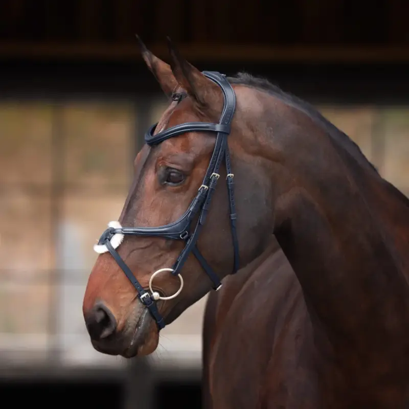 Soddisfatti O Rimborsati Briglia con capezzina incrociata Elite Shires Velociti Lusso
