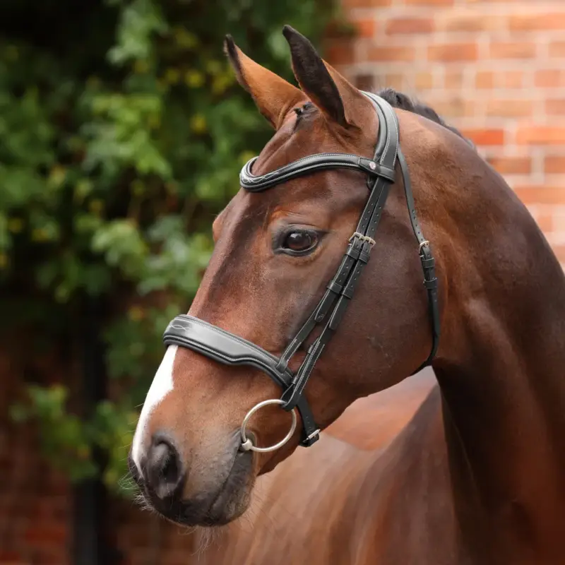 Offerta Briglia da dressage con capezzina Opus 180M Shires Velociti Lusso