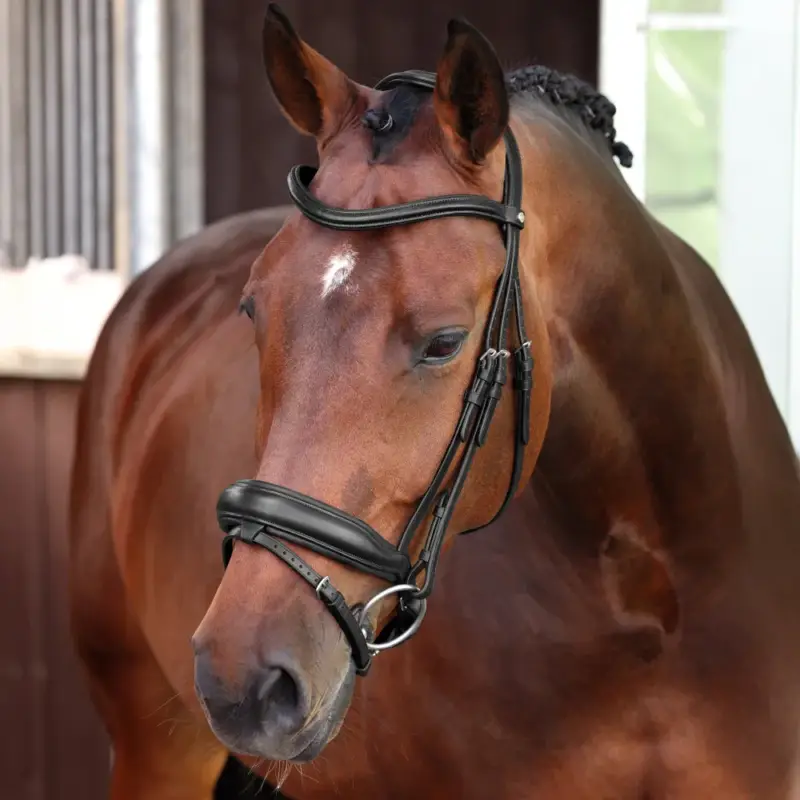 Compra Oggi Stesso Briglia da dressage con capezzina francese Elite Shires Velociti Lusso