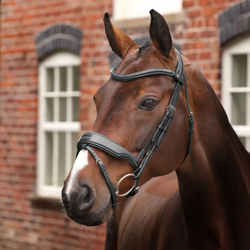 Must-Have Briglia da dressage con museruola francese Opus 180M Shires Velociti Lusso
