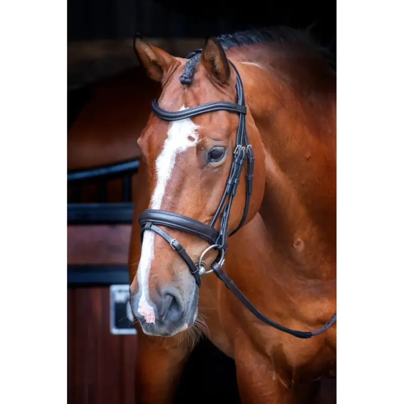 Ultime Pezzi Briglia da dressage con capezzina francese Shires Velociti Rapida