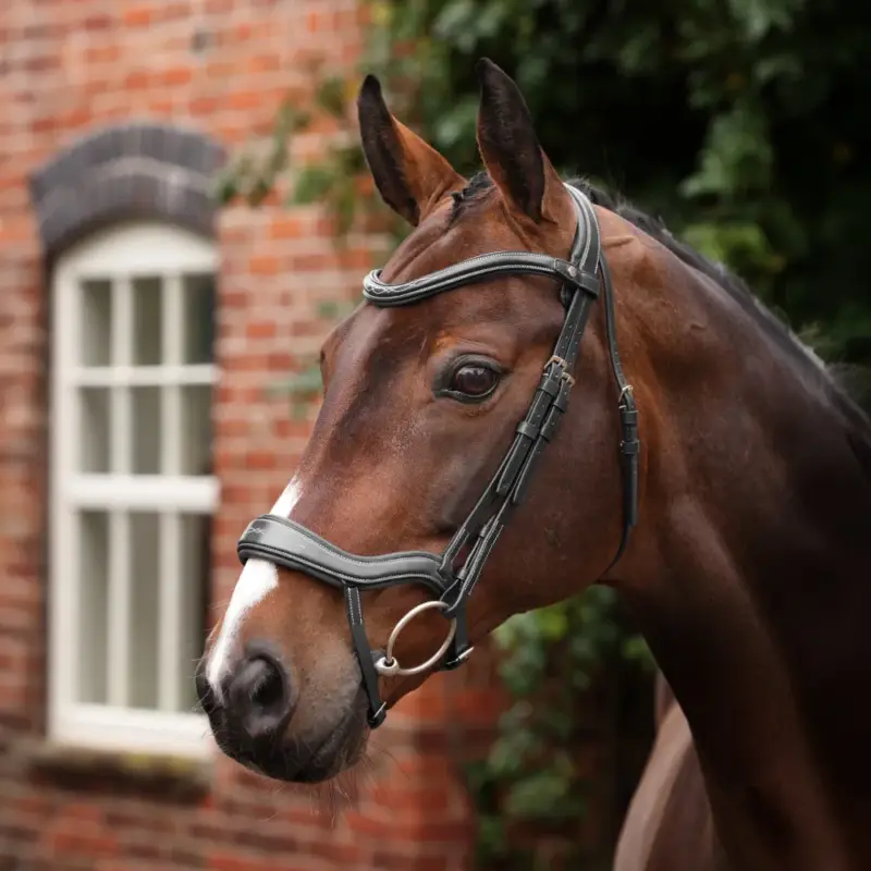 Esclusivo Briglia ergonomica con noseband francese Opus 180M Shires Velociti Lusso