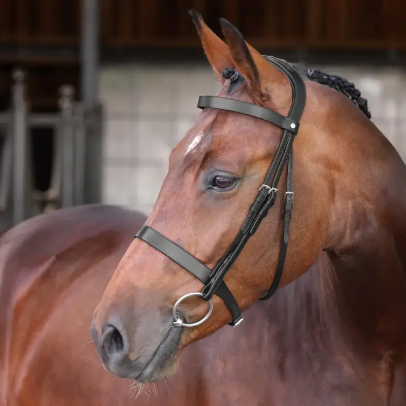 Sconto Briglia Hunter Elite Shires Velociti Lusso