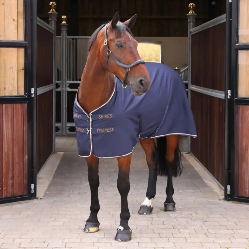 Coperta da scuderia Original Shires Tempest Super Prezzo