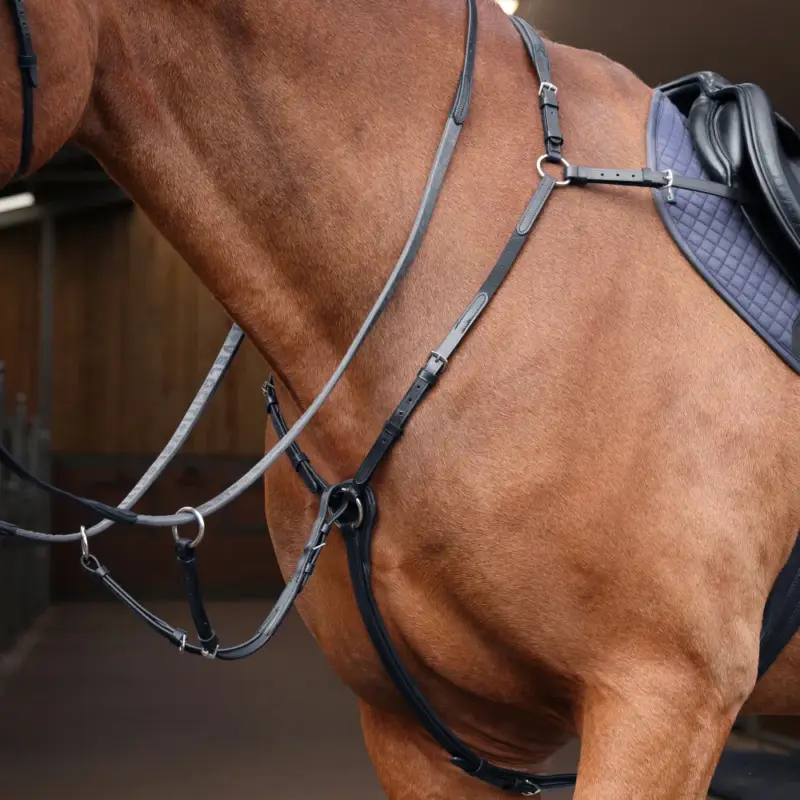 Pettorale elastico Shires Velociti Rapida Ordina Subito