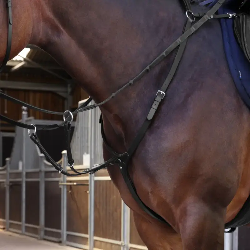Pettorale Elite Shires Velociti Lusso Promozione