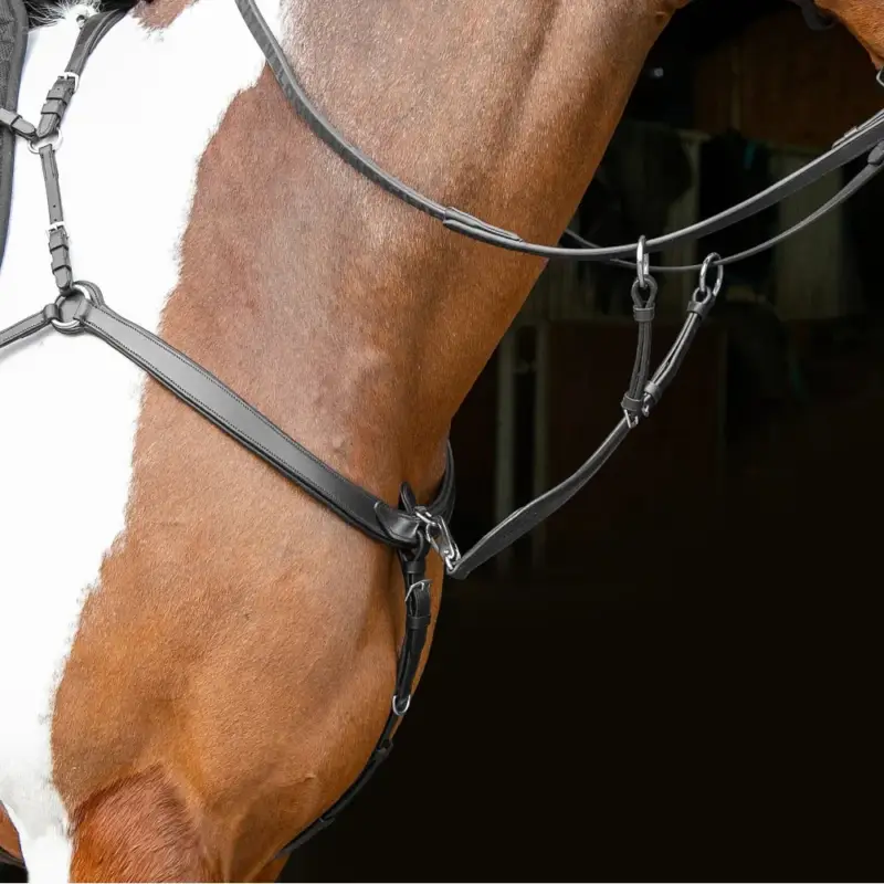 Pettorale ergonomico Shires Velociti Rapida Promozione