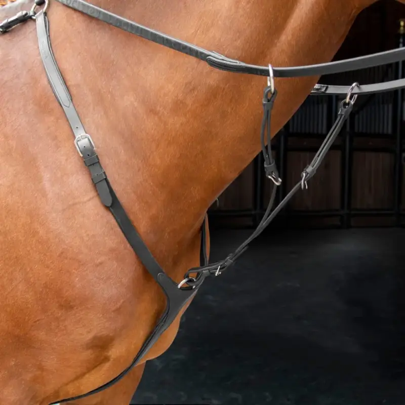 Promozione Esclusiva Pettorale Shires Velociti Rapida