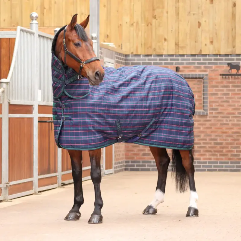Offerta Speciale Coperta da scuderia integrale Plus 100 Shires Tempest