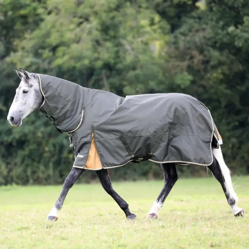 Reso Gratuito Coperta da esterno integrale Plus 50 Shires Highlander