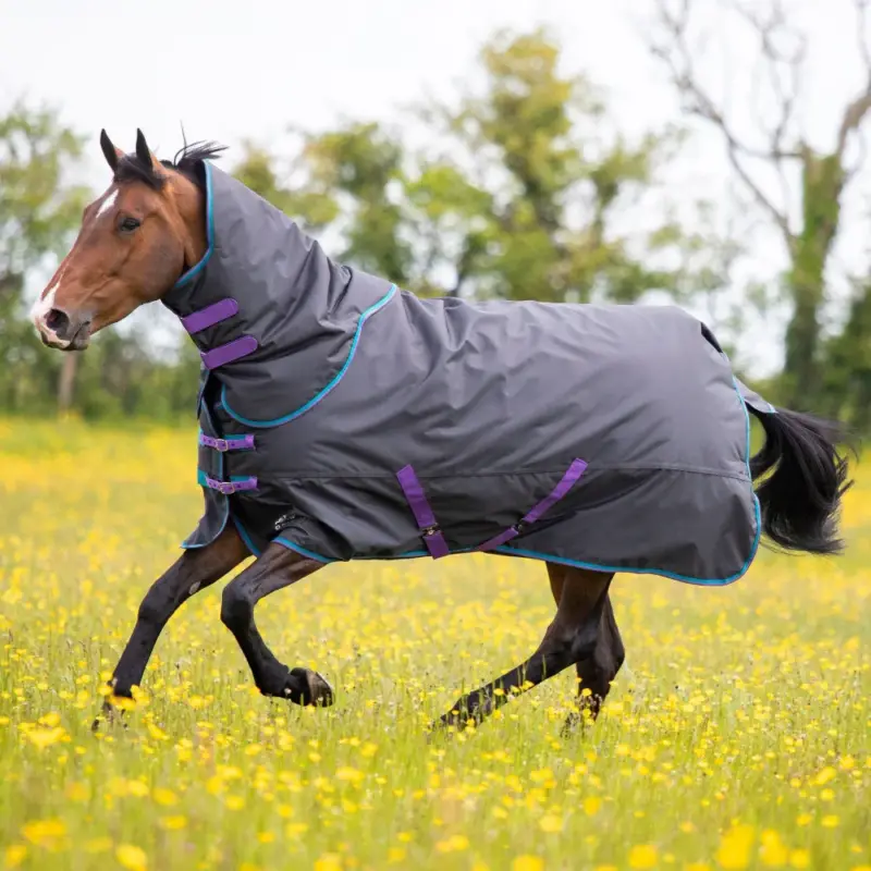 Offerta Coperta da esterno Original 300 + copricollo Shires Tempest