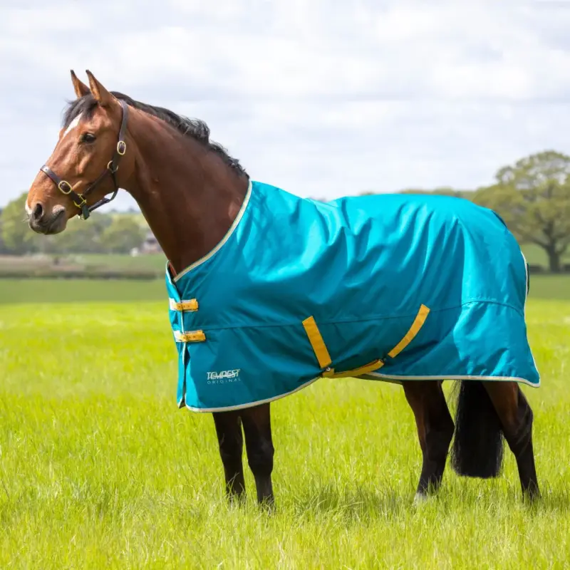 Coperta da esterno Original 50 Shires Tempest Affare
