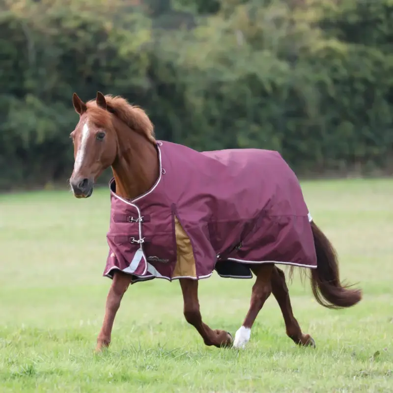 Coperta da esterno Plus 100 Shires Highlander Pagamento Sicuro