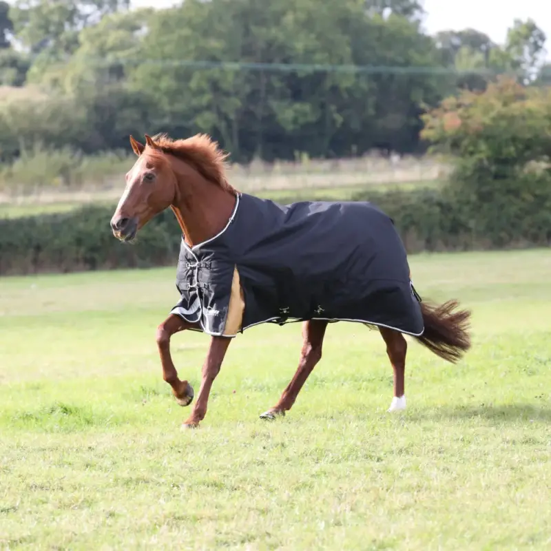 Economico Coperta da esterno Plus 200 Shires Highlander
