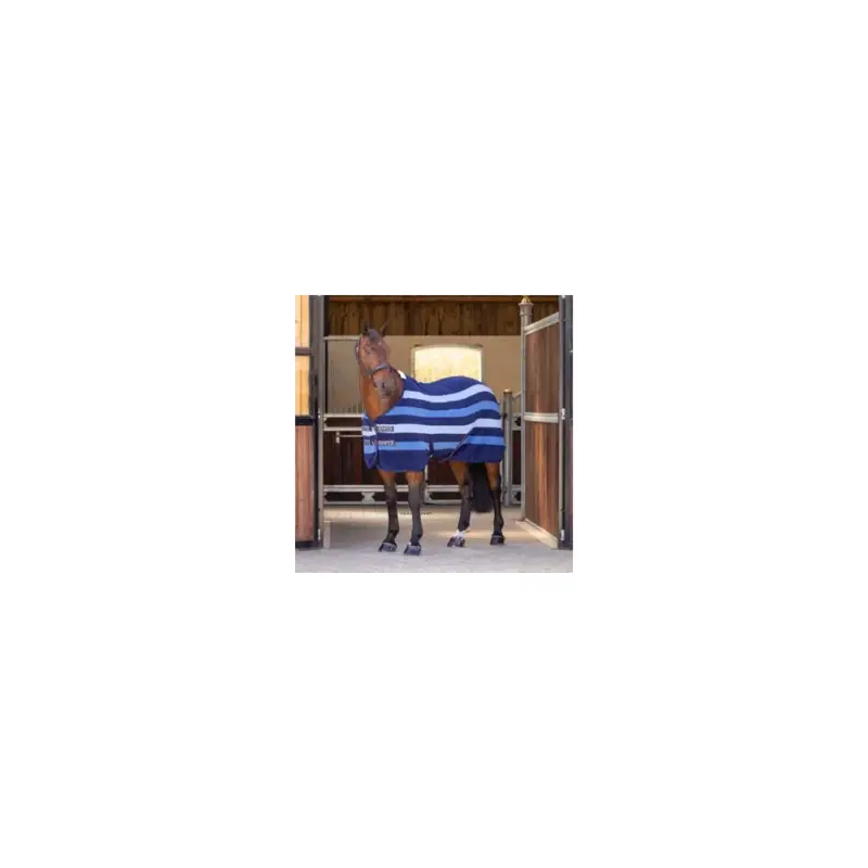 Pagamento Sicuro Coperta in pile Newmarket Original Shires Tempest