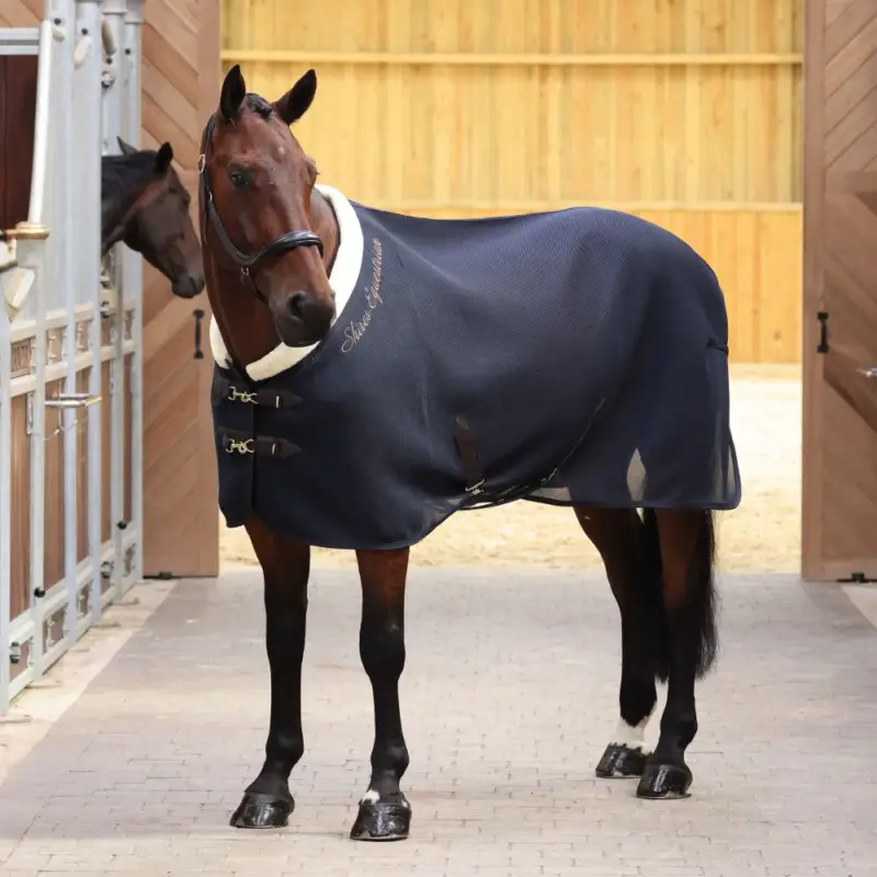 Coperta asciugante Air Motion Deluxe Shires Prezzo Conveniente