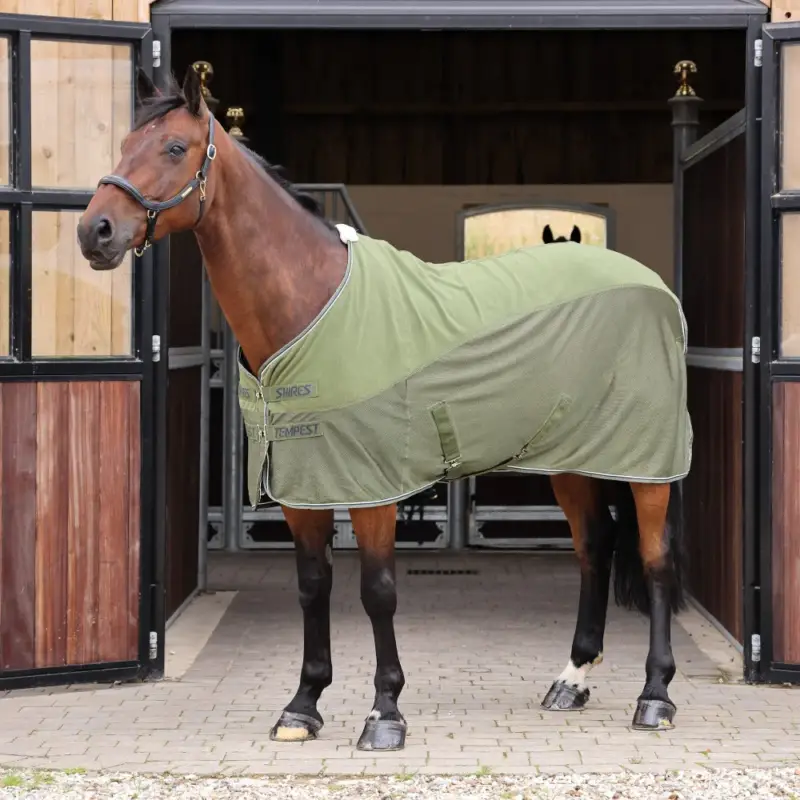 Coperta asciugante in pile/mesh Original Shires Tempest Novità