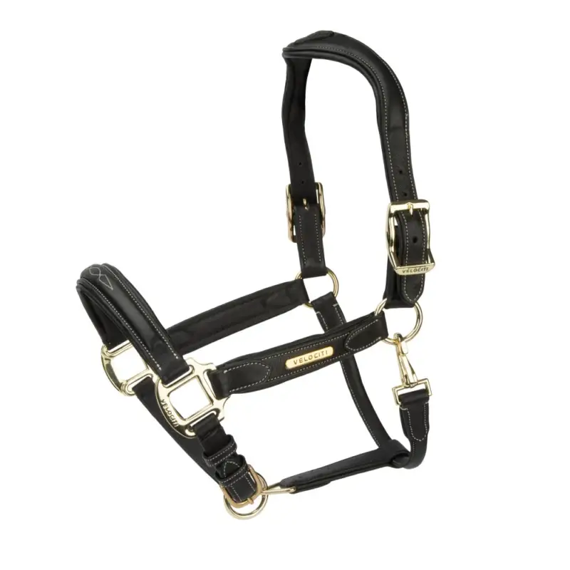 Prezzo Basso Capezza in pelle Comfort Shires Velociti Rapida