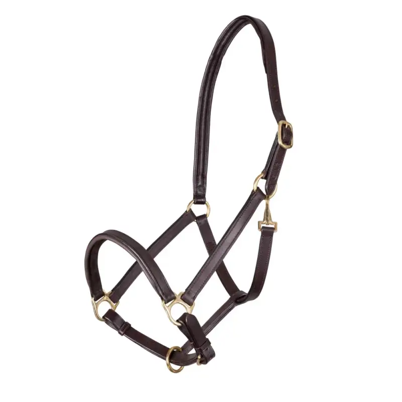 Capezzina in cuoio foderata Ragley Shires Velociti Gara Nuova Collezione