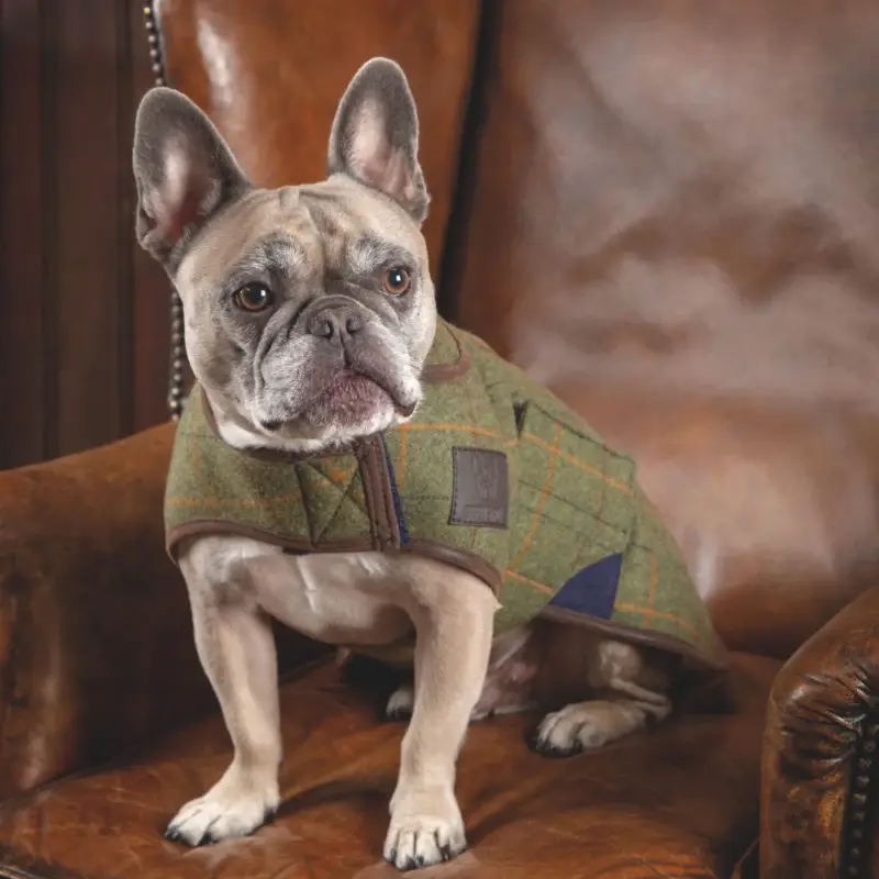 Offerta Lampo Cappotto per cane in tweed Shires Digby & Fox