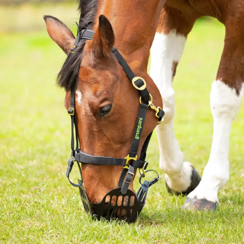 Compra Online Cestello da pascolo Shires Greenguard