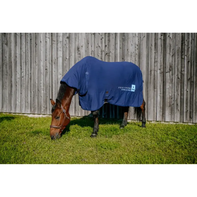 Più Venduto Coperta Cool&dry Equithème Fresh Combo