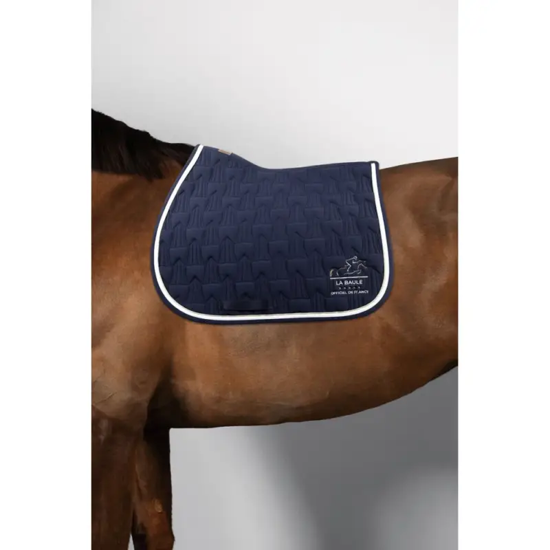 Ultima Occasione Sottosella Harcour CSIO La Baule Quarzine
